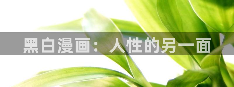 贝勒漫画妄想的边界：黑白漫画：人性的另一面